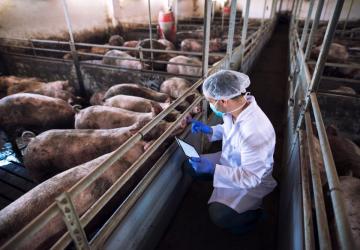 Coordenadoria de Defesa Agropecuária atua há 26 anos com ações de vigilância zoossanitária e fitossanitária, promovidas pelos médicos veterinários da Secretaria de Agricultura de SP